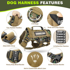 WINSEE molle system with side panels supports pouches and water bottles