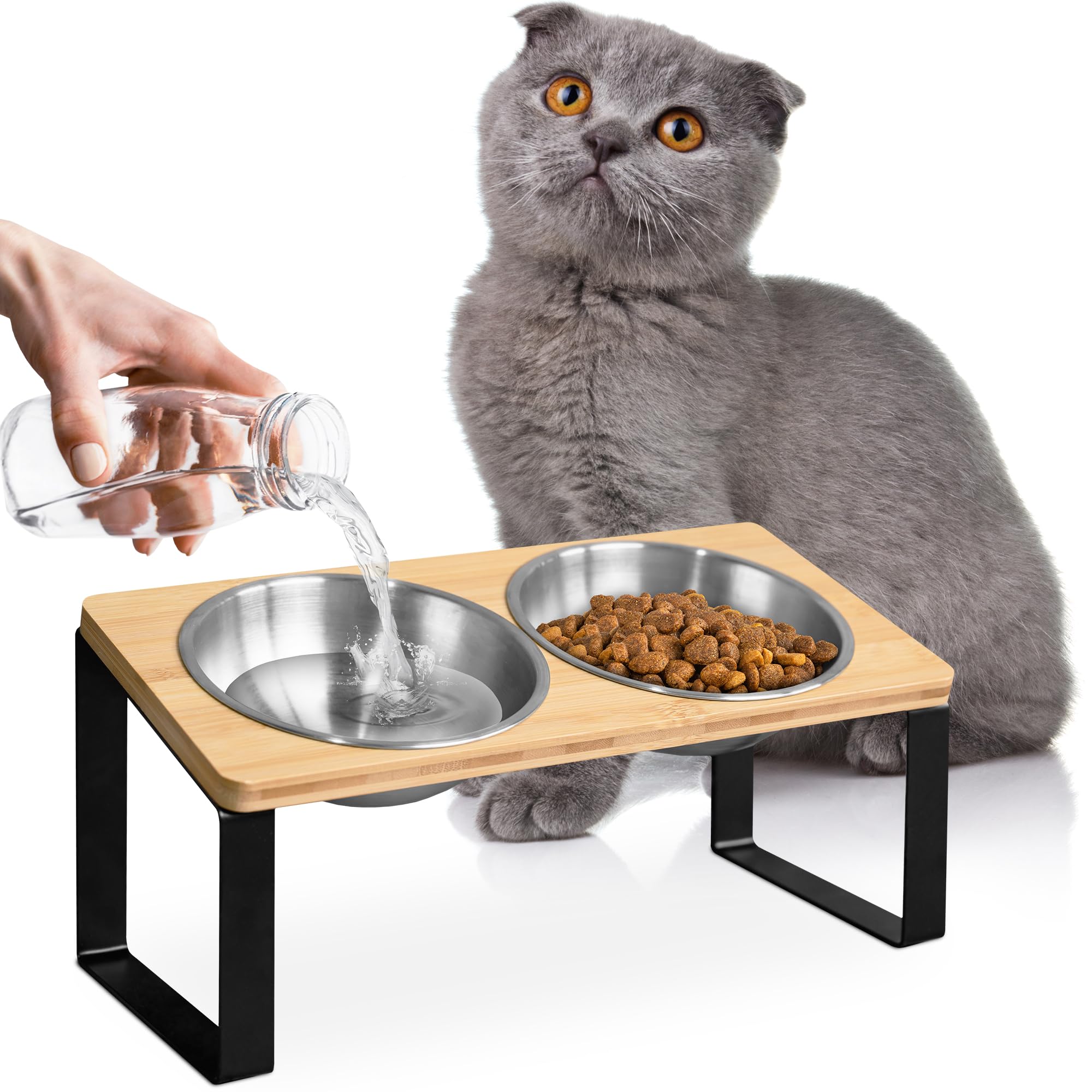 WinTruffles mealtime hygiene with an elevated feeding station for indoor cats