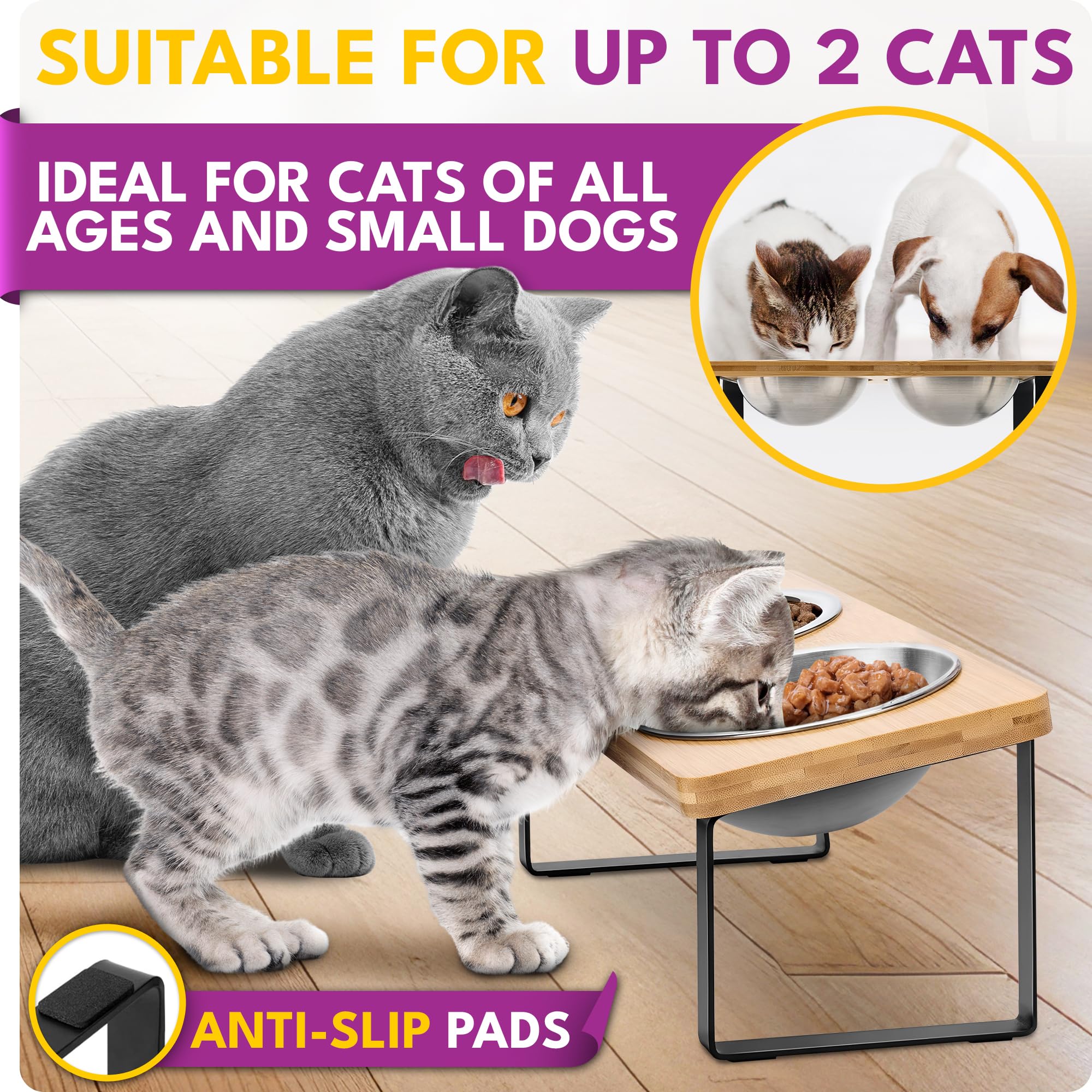 WinTruffles wood accent base adds natural style to the feeding area