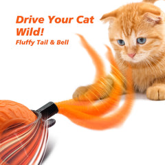 Wisafoi 360-degree rolling ball delivers unpredictable motion to captivate cats.