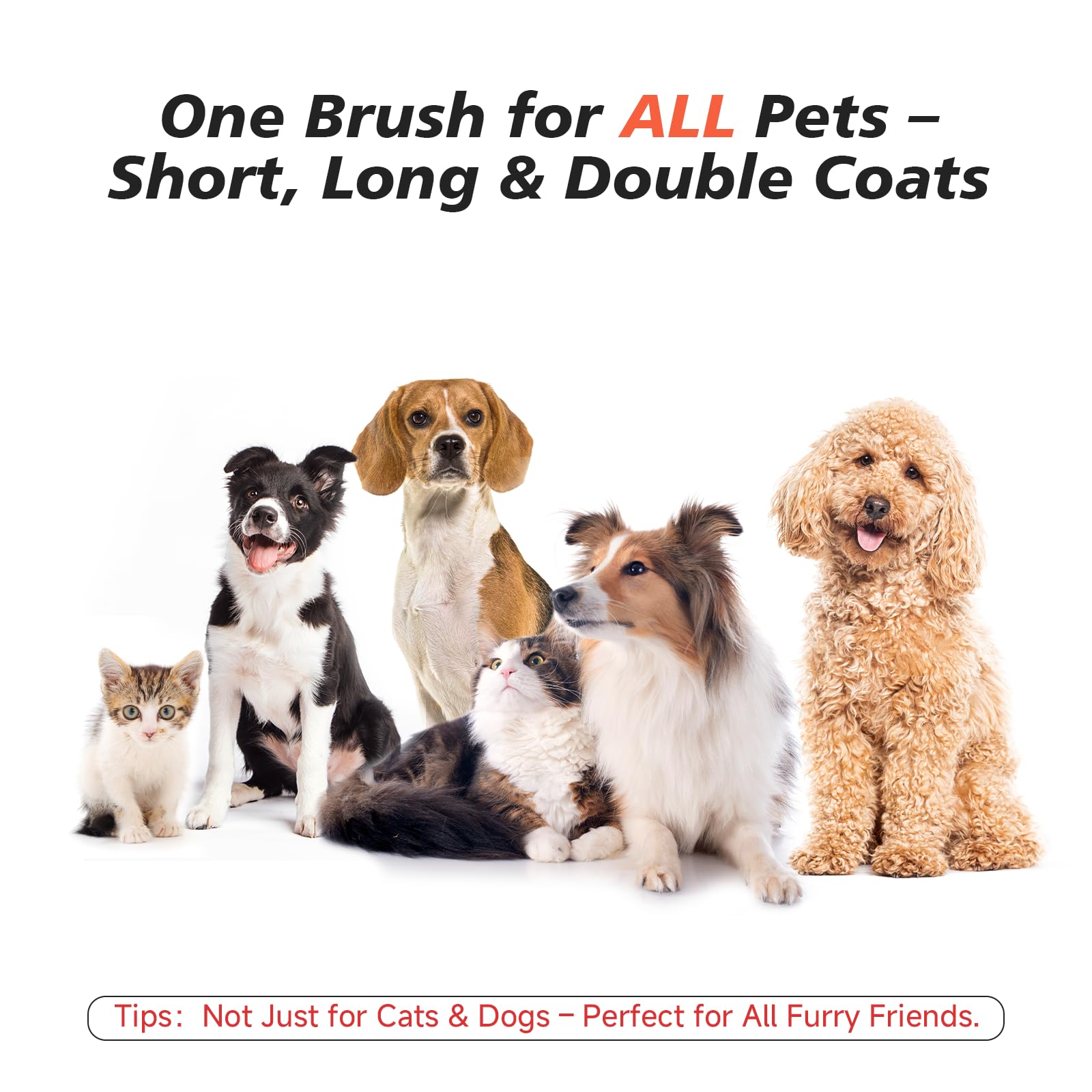 Wisafoi Steam Dog Brush enabling calm grooming sessions for pets