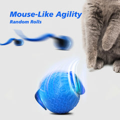 Wisafoi two-pcs interactive cat toy blue ball keeps indoor cats engaged.