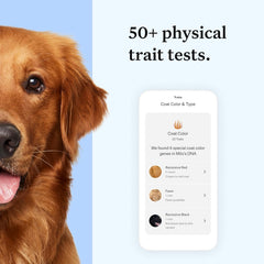 Wisdom Health health-insights-chart summarizing health insights
