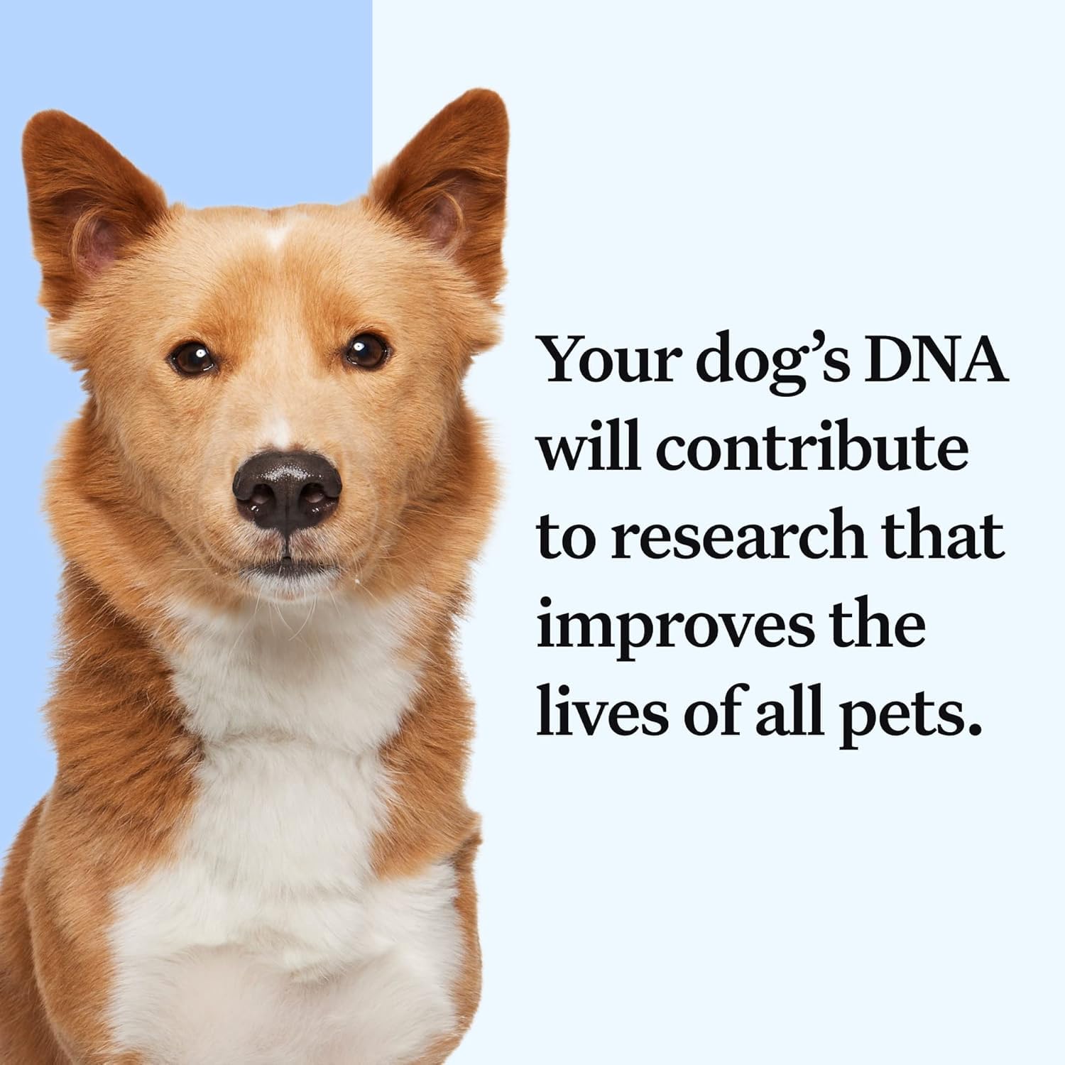 Wisdom Health world-dog-testers-map showing global testing reach