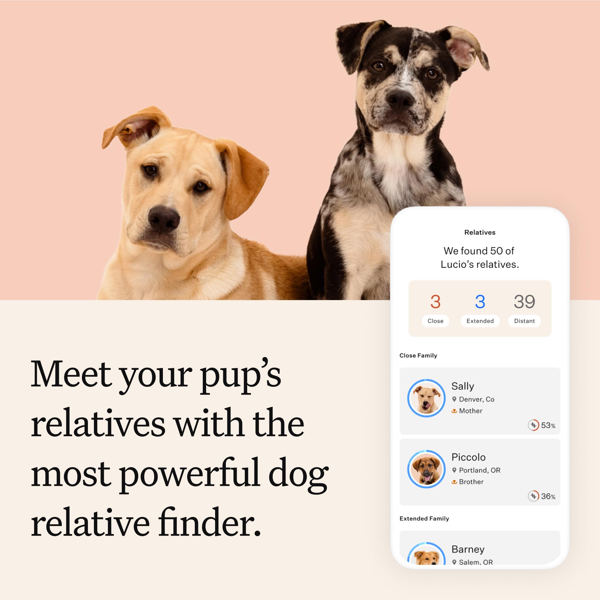 Wisdom Panel ancestry network shows relatives and photos