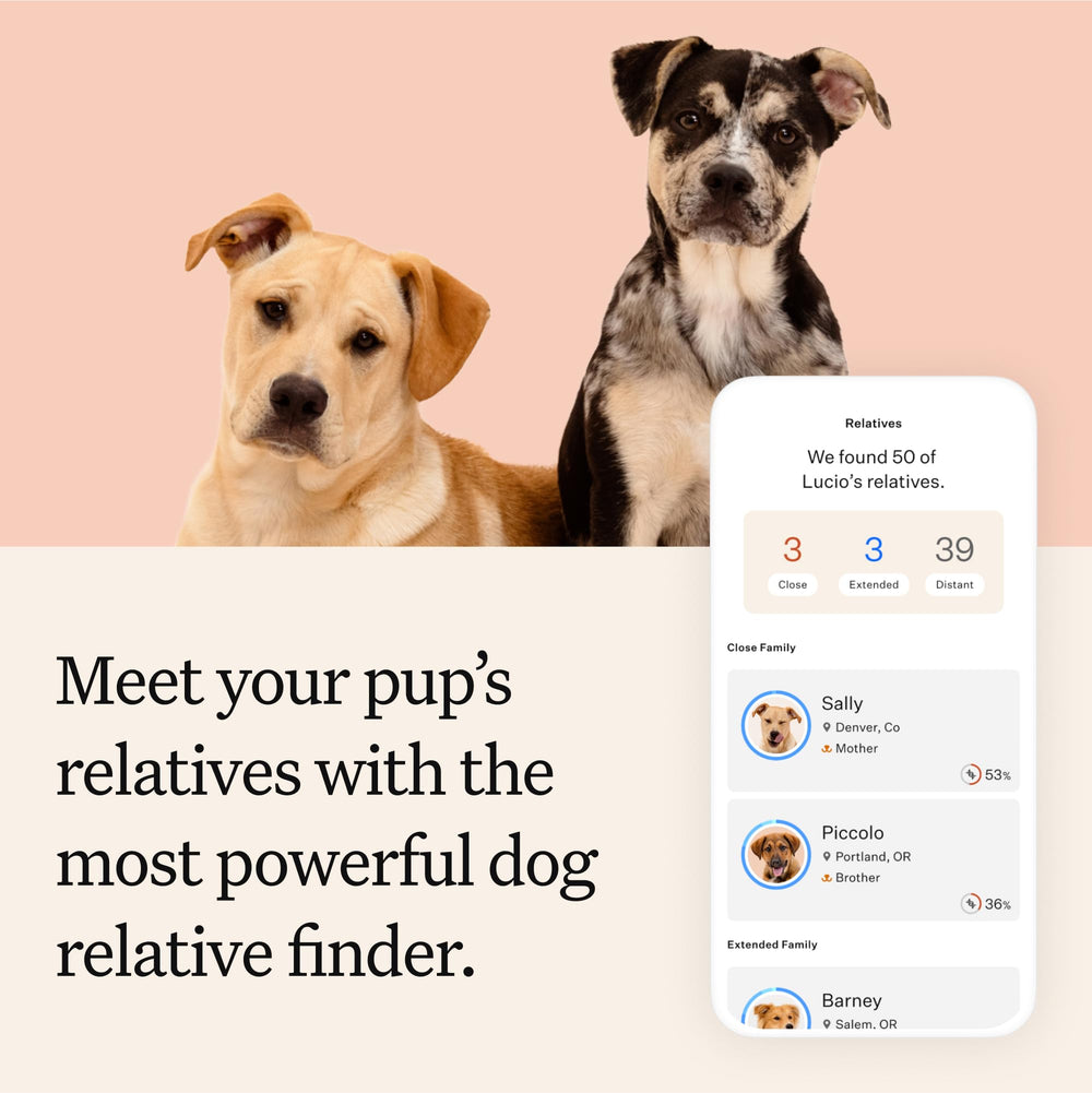 Wisdom Panel ancestry network shows relatives and photos