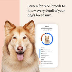 Wisdom Panel breed report shows 365+ breeds with detailed results