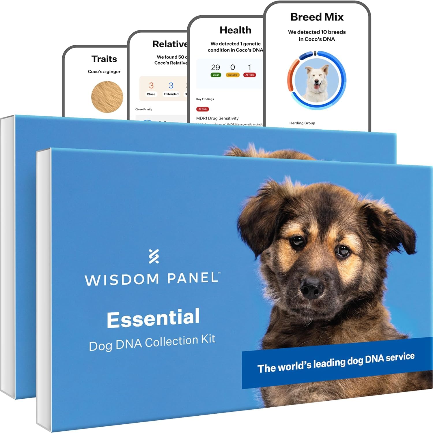 Wisdom Panel Essential dog DNA Kit packaging demonstrates trusted branding for breed insights.