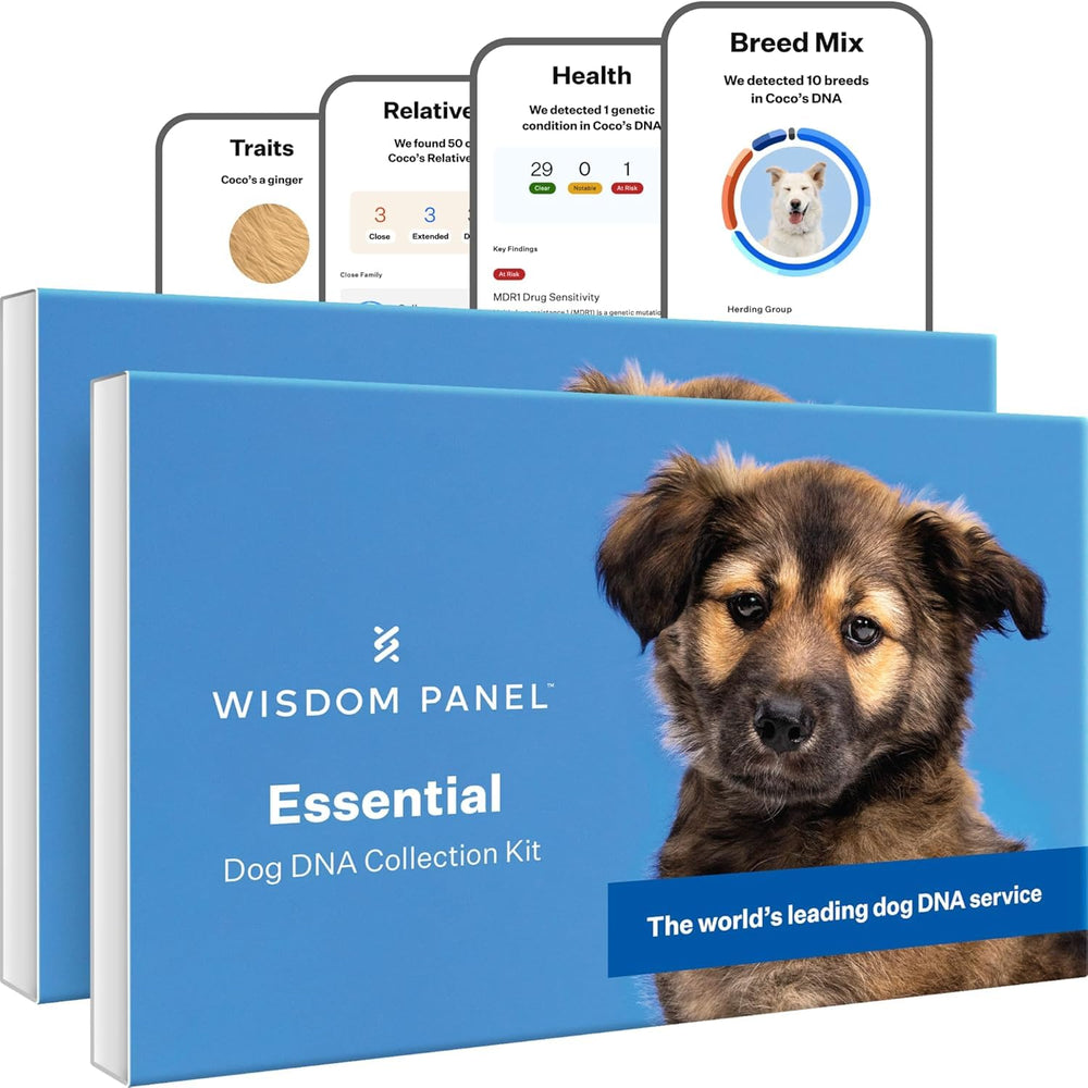 Wisdom Panel Essential dog DNA Kit packaging demonstrates trusted branding for breed insights.