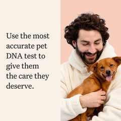 Wisdom Panel Premium DNA Kit swab ready for painless at-home sampling