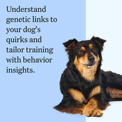 Wisdom Panel Relatives Photo Gallery shows matches and kin connections across the database