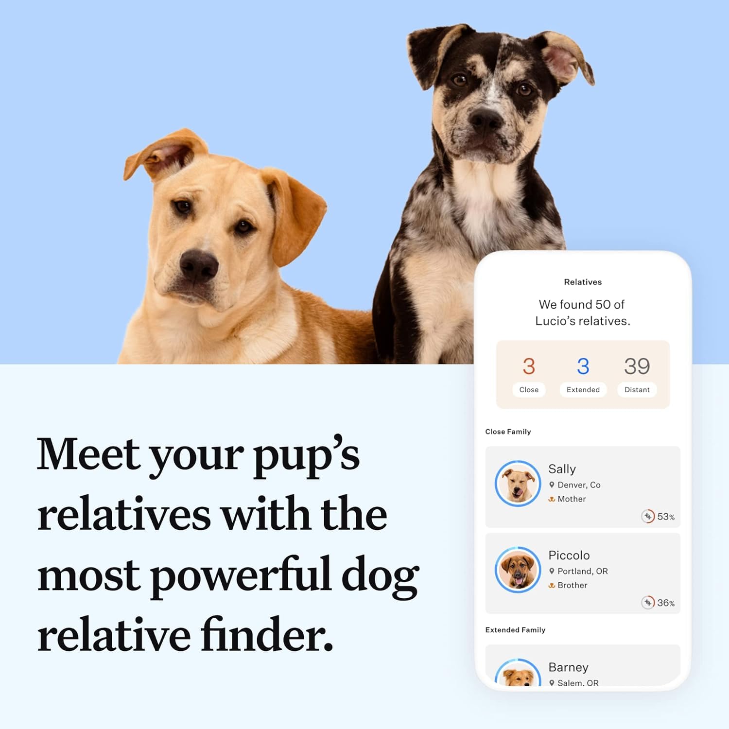 Wisdom Panel Essential relative matches view connects dogs with photos.