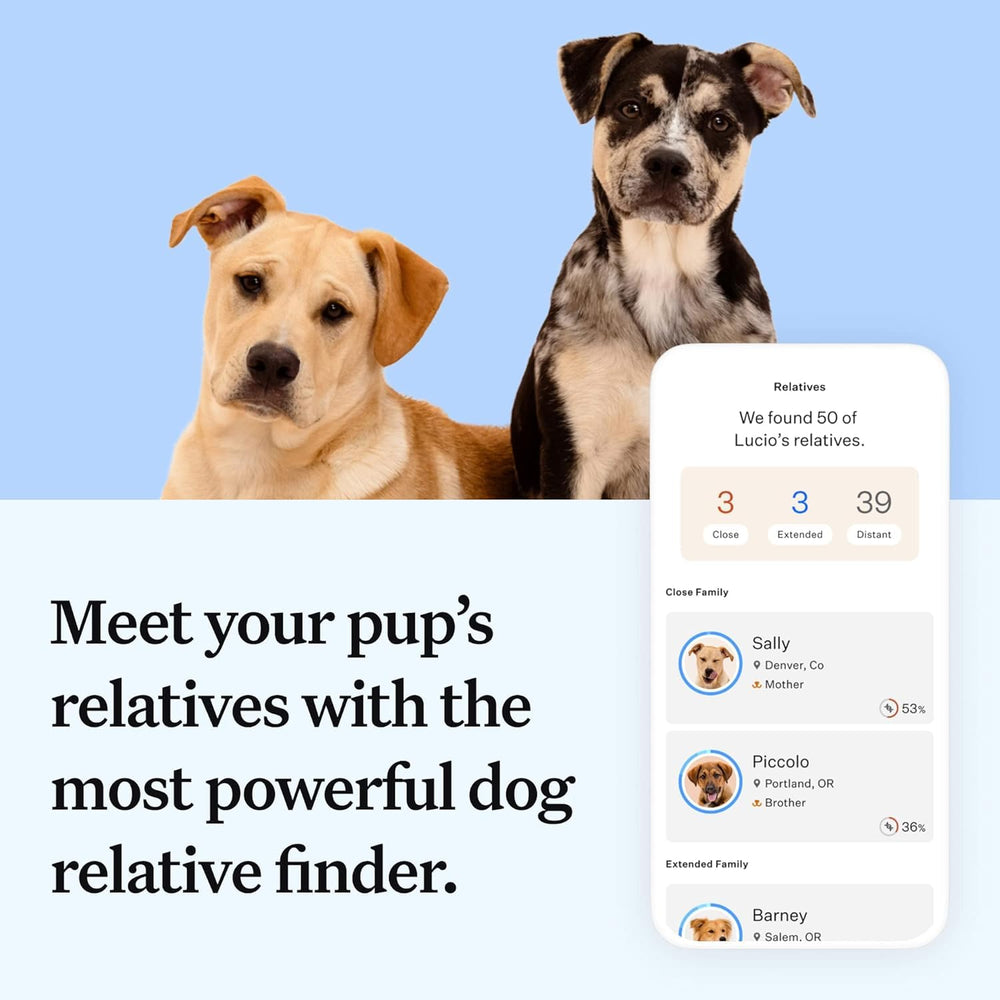 Wisdom Panel Essential relative matches view connects dogs with photos.