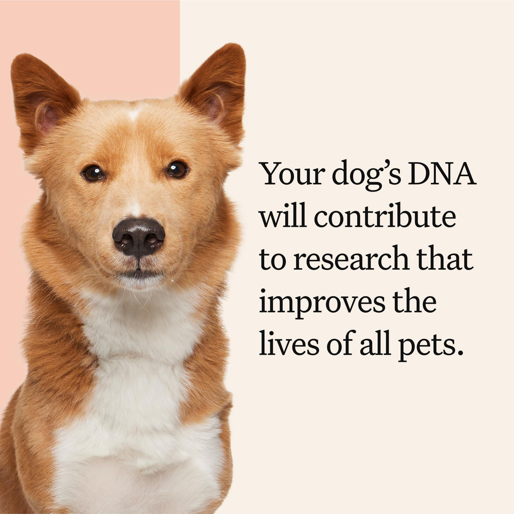 Wisdom Panel results delivered online for easy sharing