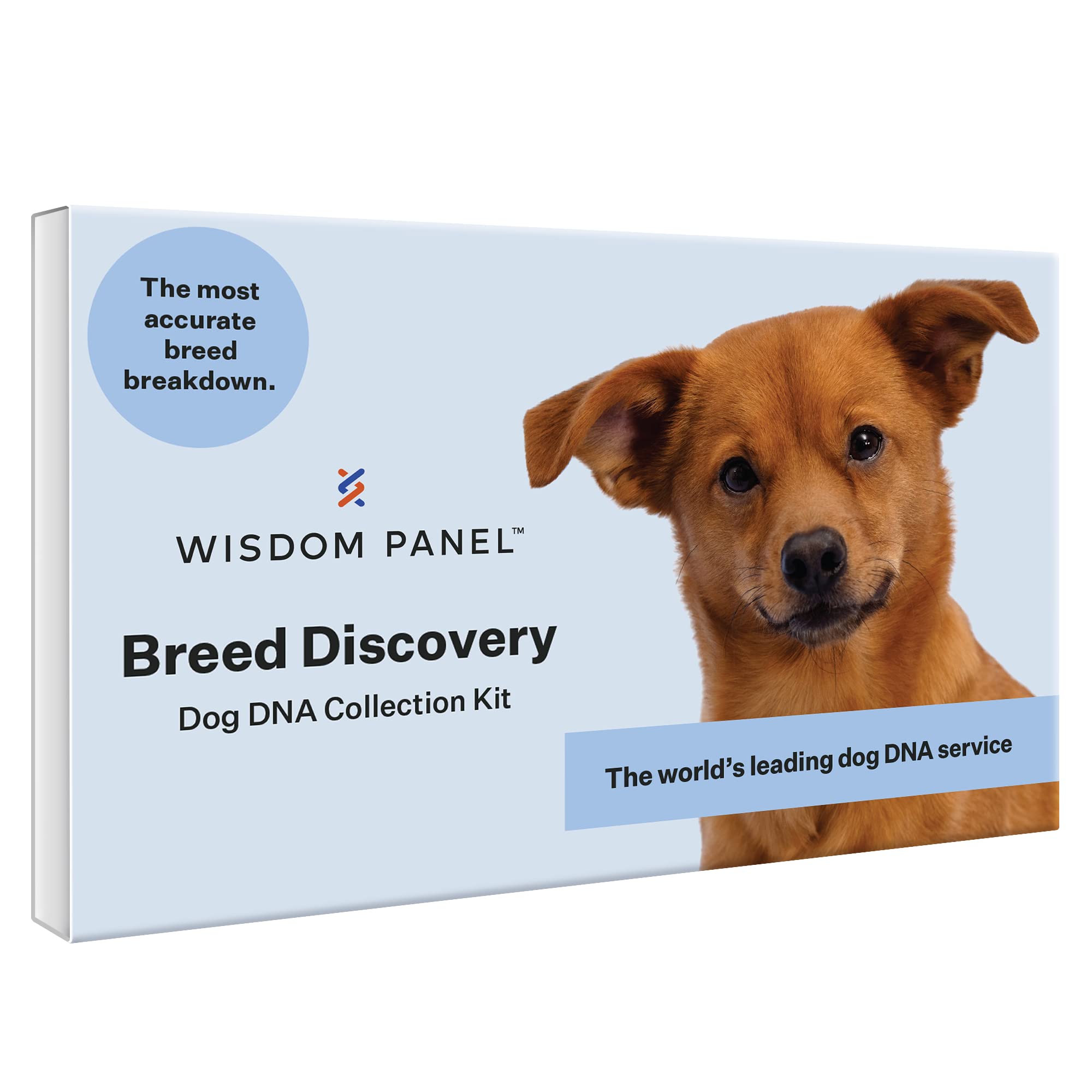 Wisdom Panel Swab Collection Close-up captures step-by-step at-home sampling