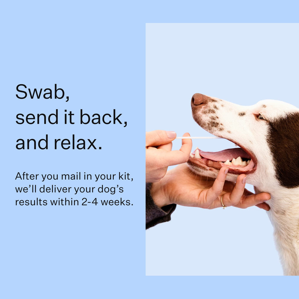 Wisdom Panel World Map shows countries with pets tested and global reach