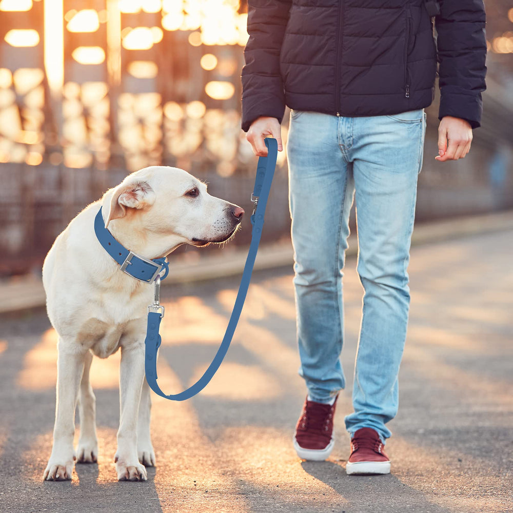 Wisedog brand-support-service provides reliable help and replacements