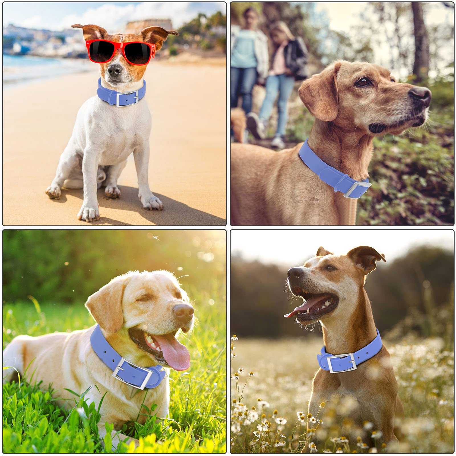 Wisedog lifetime warranty and responsive customer service