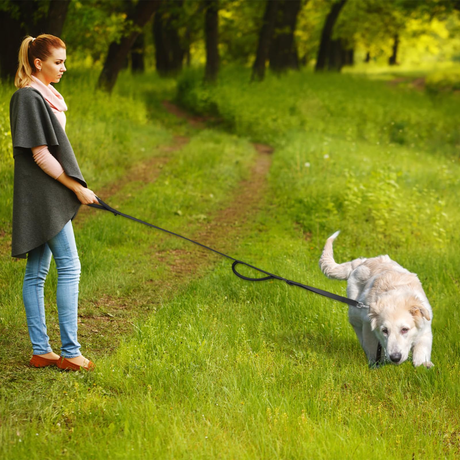Wisedog classic black leash highlights a durable everyday accessory.