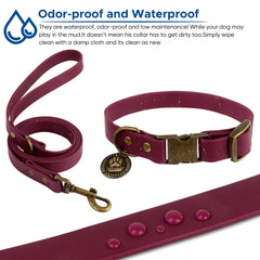 Wisedog collar with cute metal tag attached for easy identification.