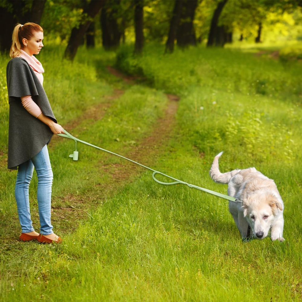 Wisedog two-handle leash used for safer training and comfortable strolling