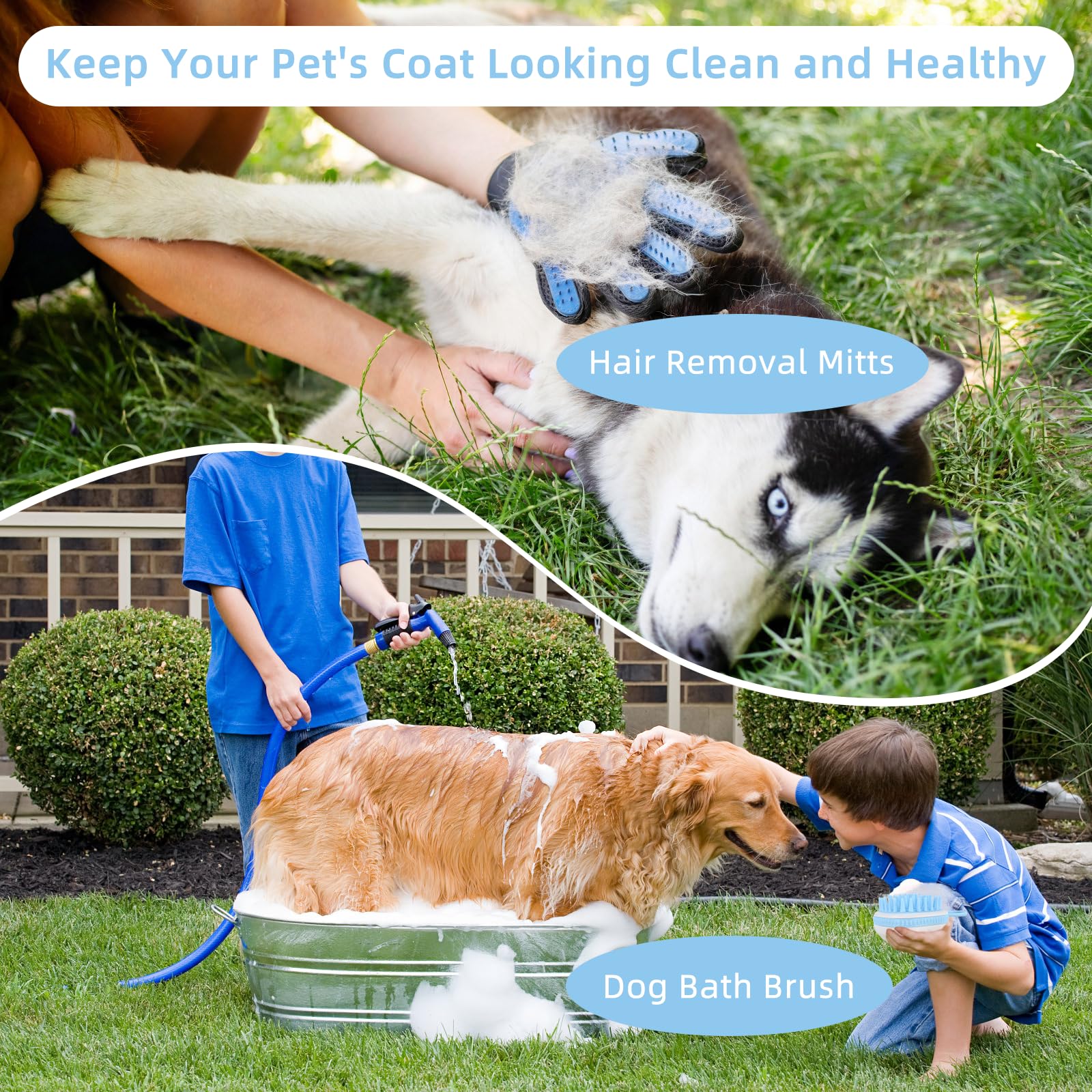 Wisedog dog bath brush enhances bathing by loosening dirt and loose fur.