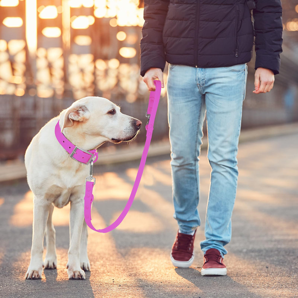 Wisedog leash showcases classic rose violet design for stylish dog walks.