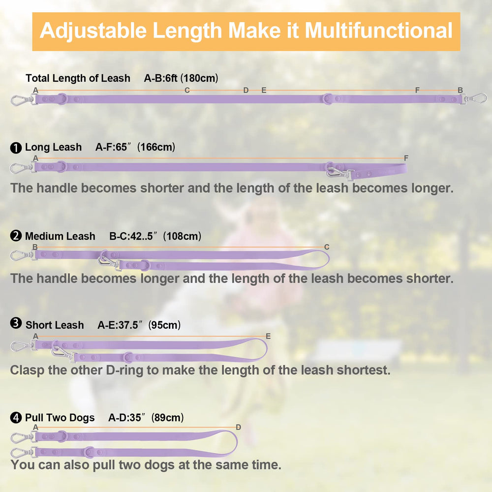 Wisedog lilac leash in park setting demonstrates length options for small to large breeds.
