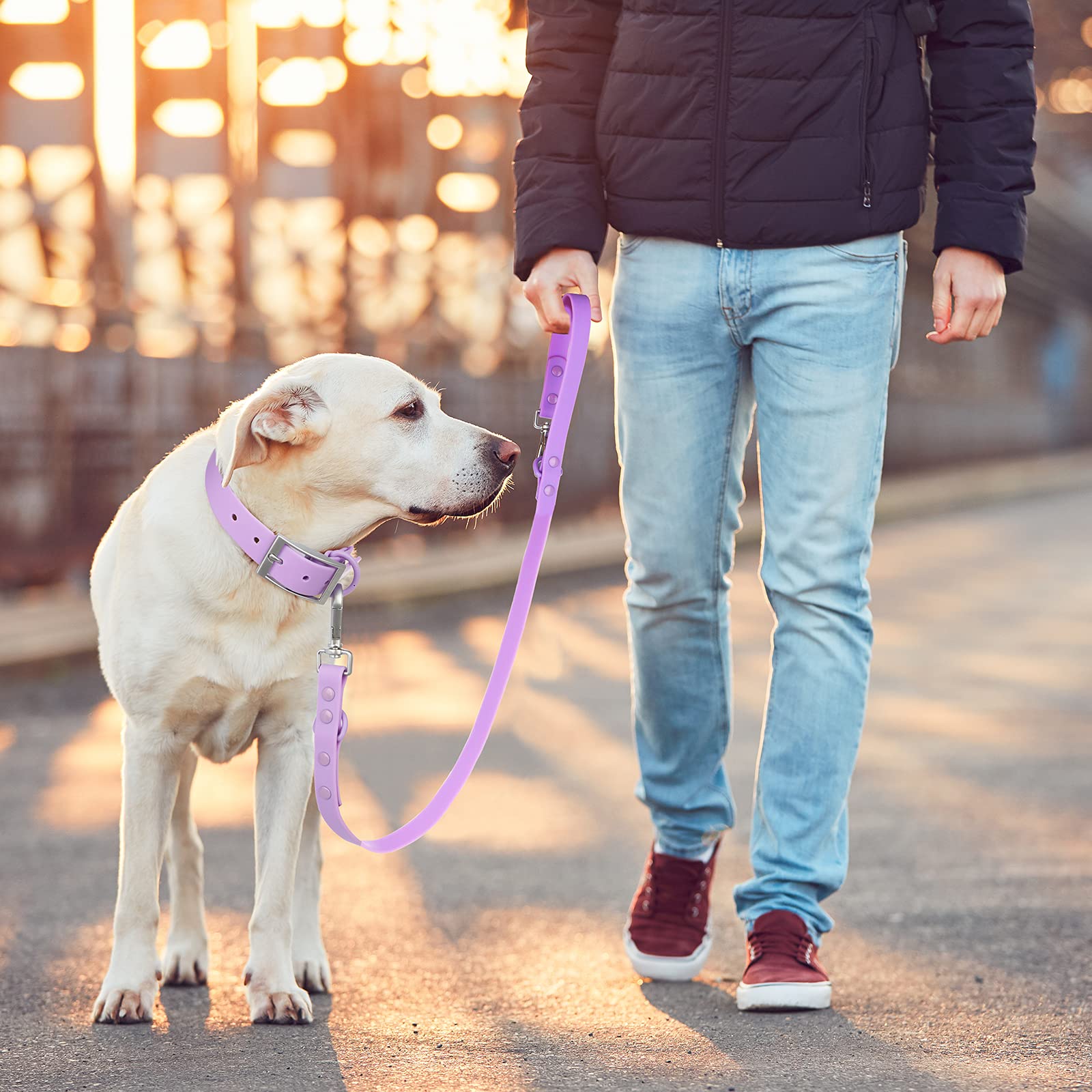 Wisedog lilac waterproof leash with two hooks supports 2-point control.