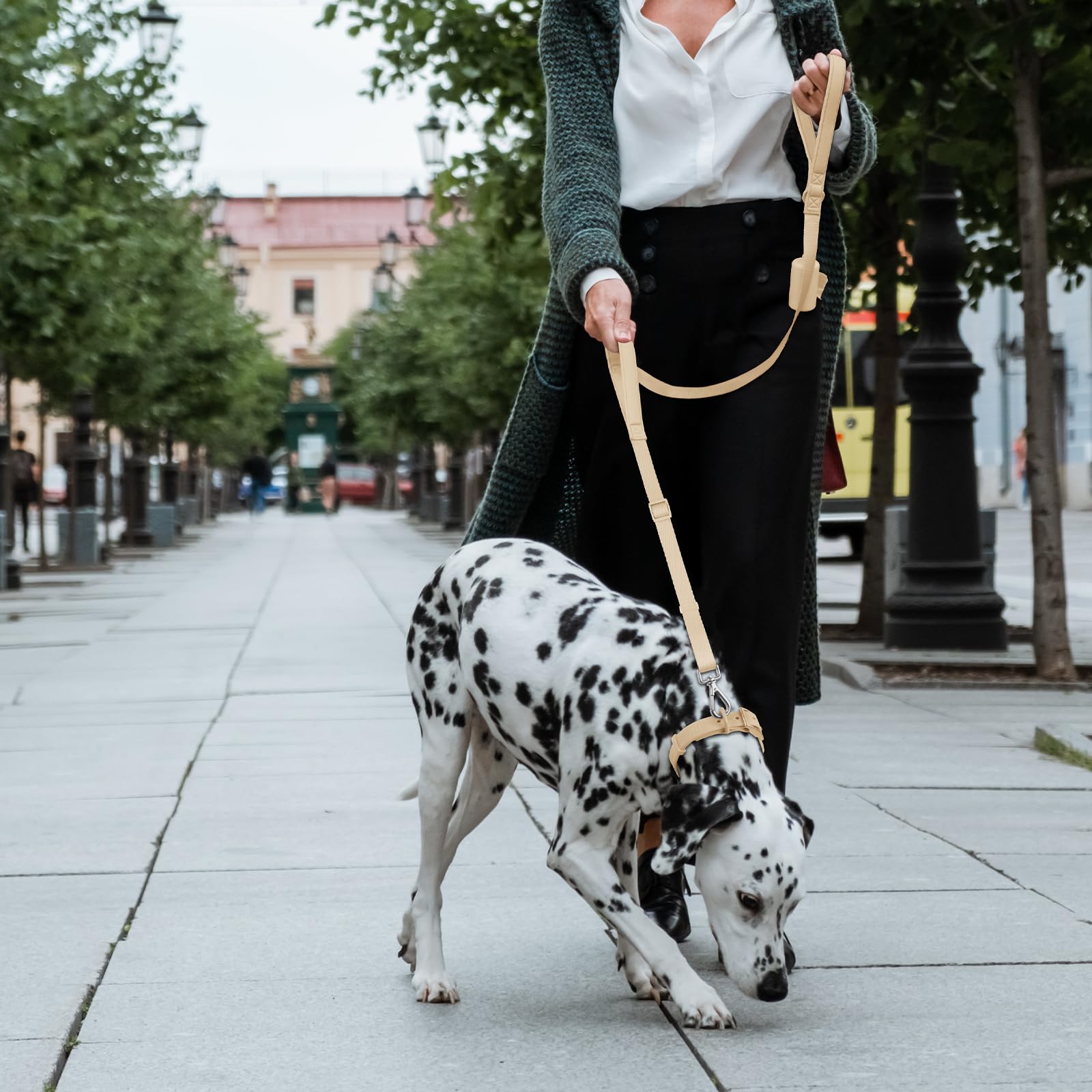 Wisedog leash featuring built-in poop bag holder for quick cleanup