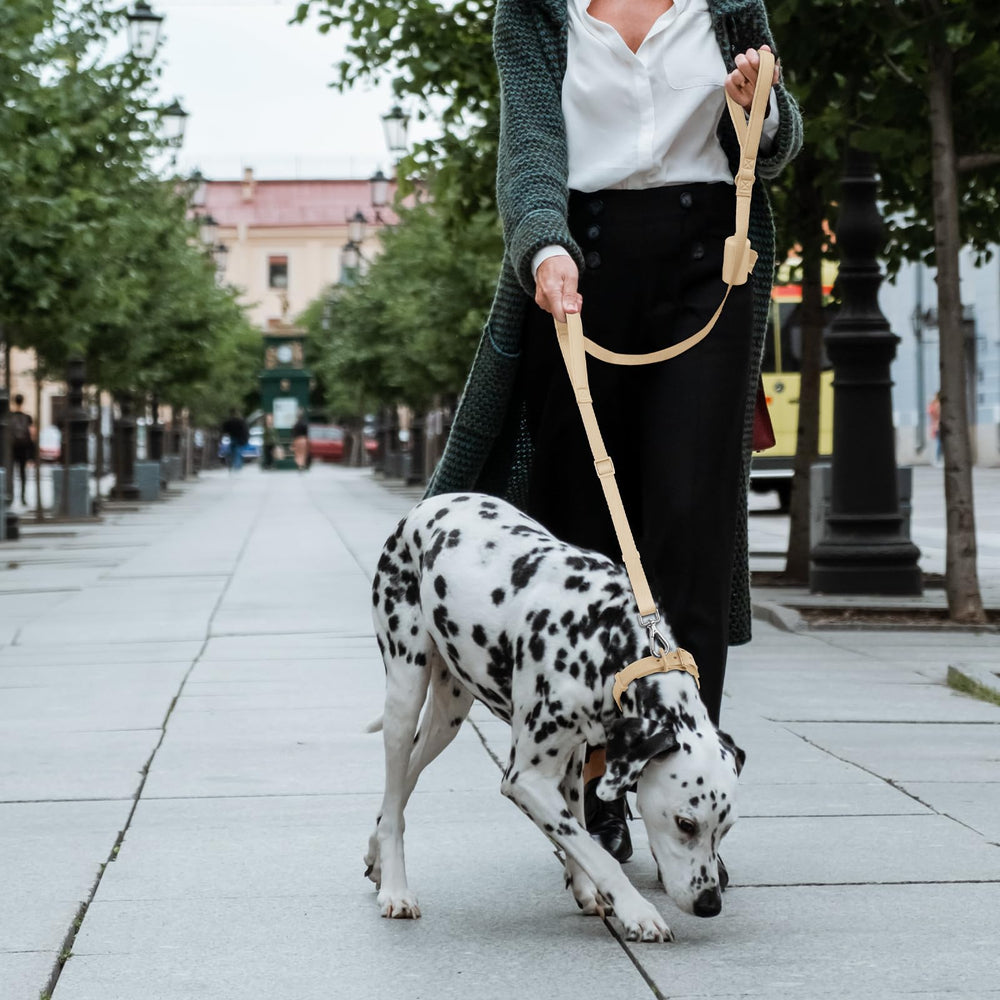 Wisedog leash featuring built-in poop bag holder for quick cleanup