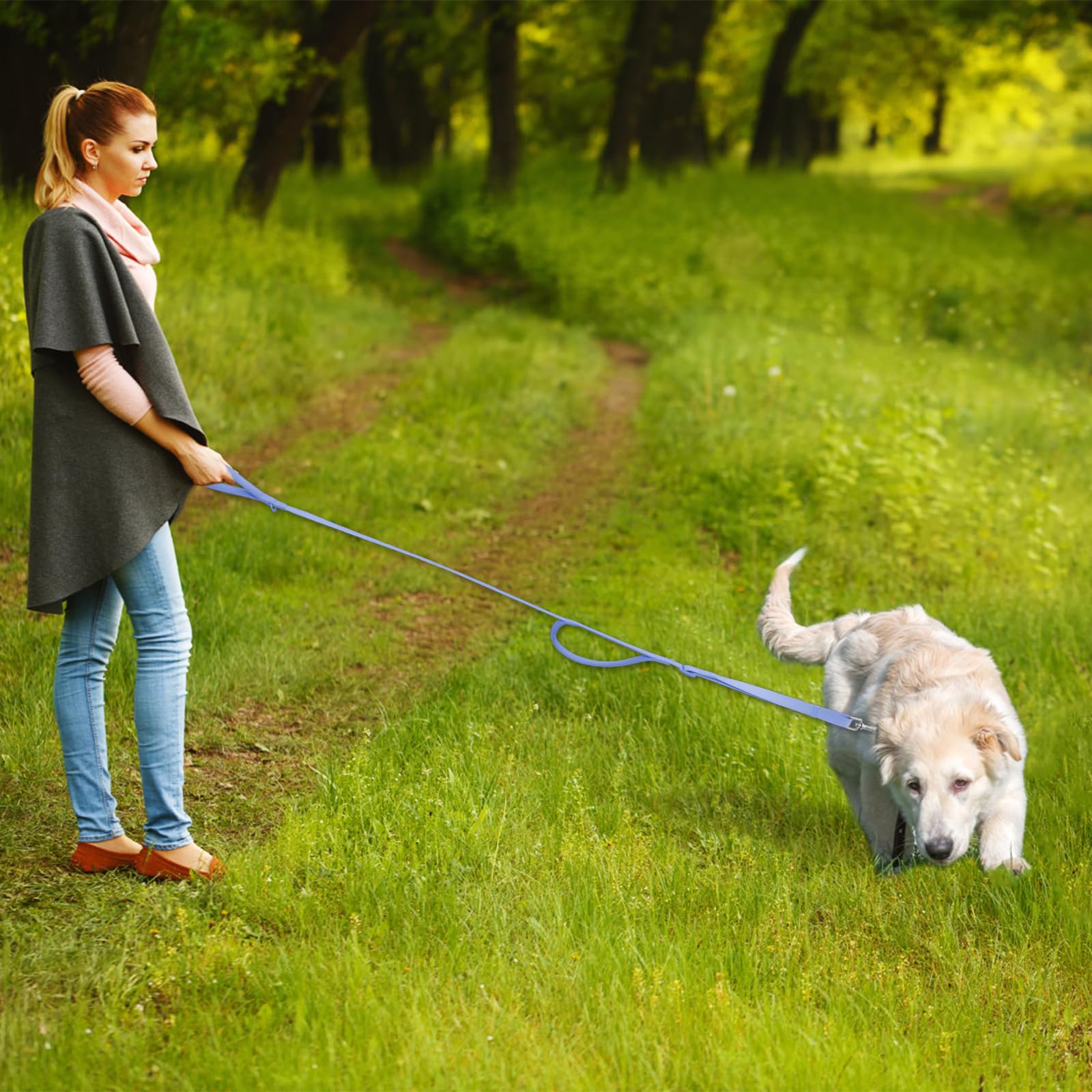 Wisedog Moonlight Blue leash design adds stylish flair