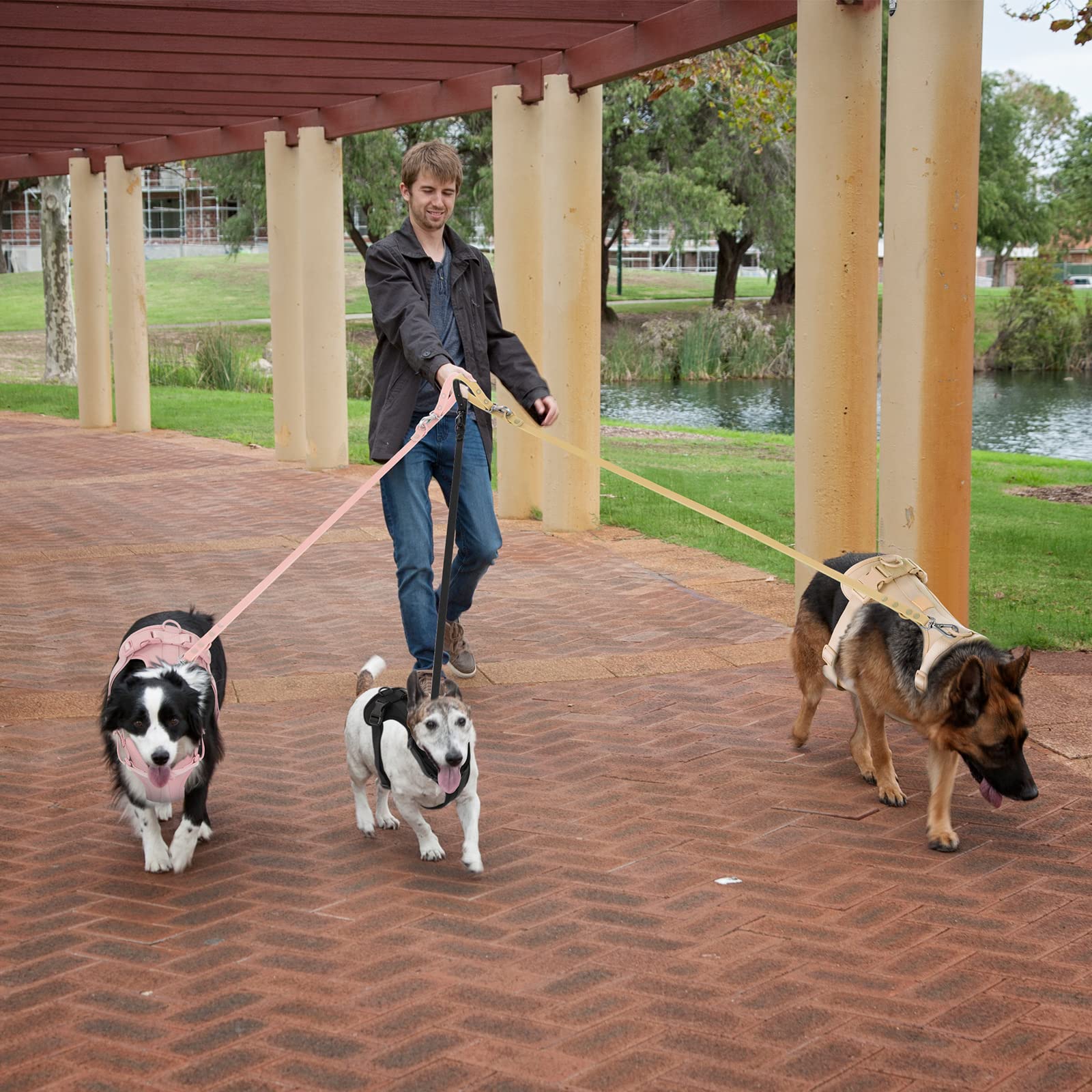 Wisedog No Pull Harness color options including Gossamer Pink for style