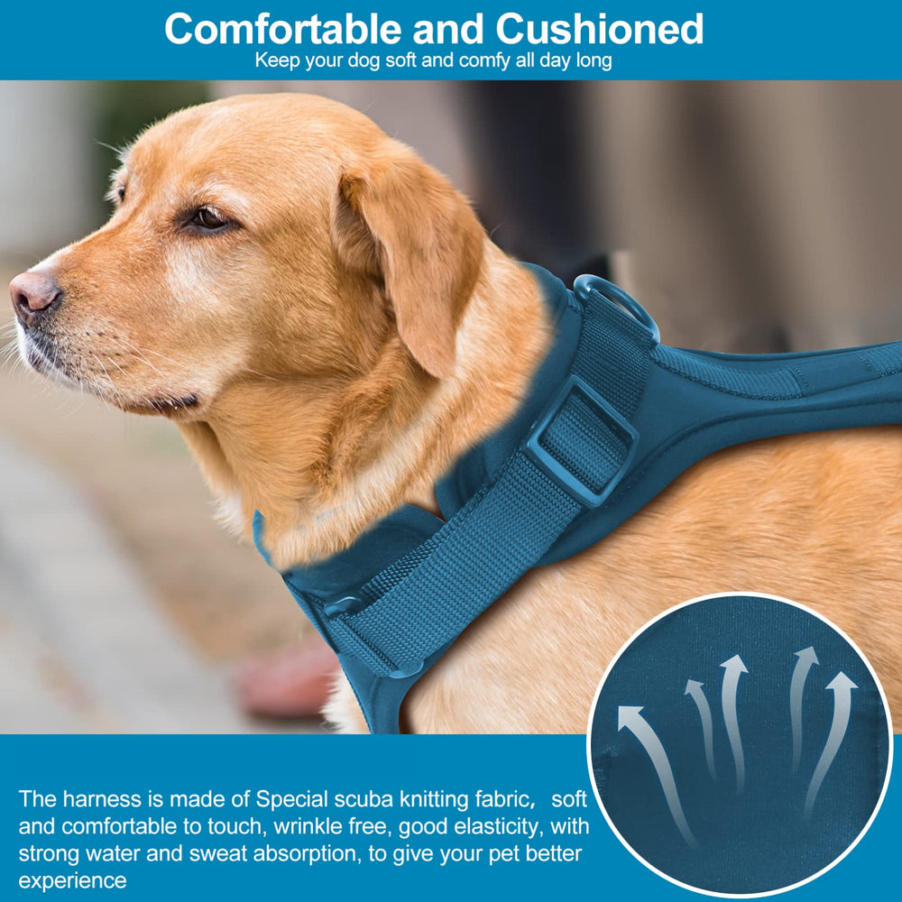 Wisedog no-pull harness navy size-chart helps precise fitting