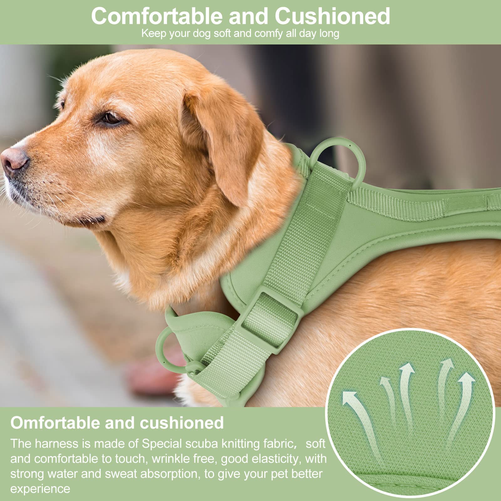 Wisedog no pull harness with quick-release buckles for easy on off