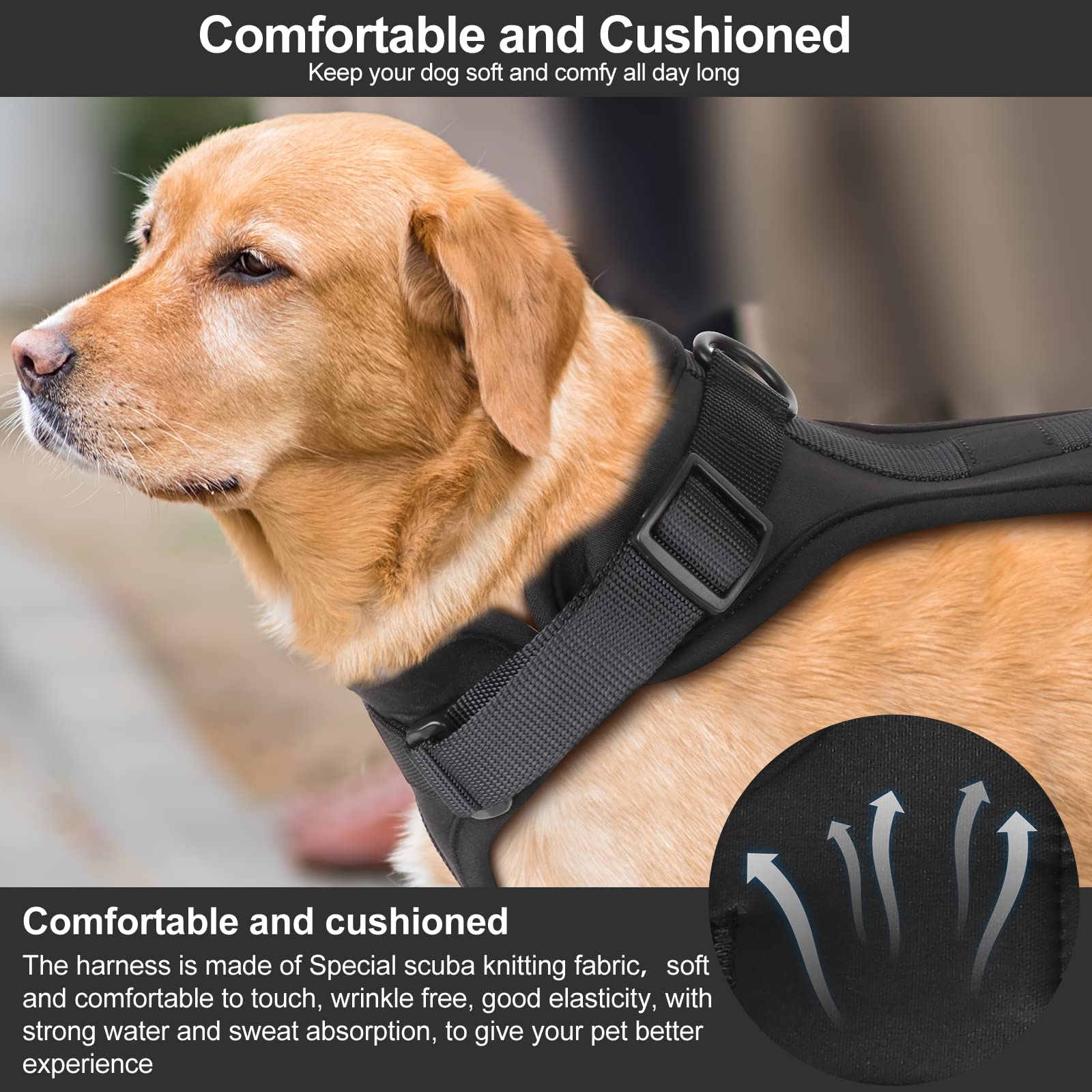 Wisedog No Pull Harness features quick-release buckles for easy on/off wearing.