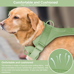 Wisedog no pull harness with quick-release buckles for easy on off