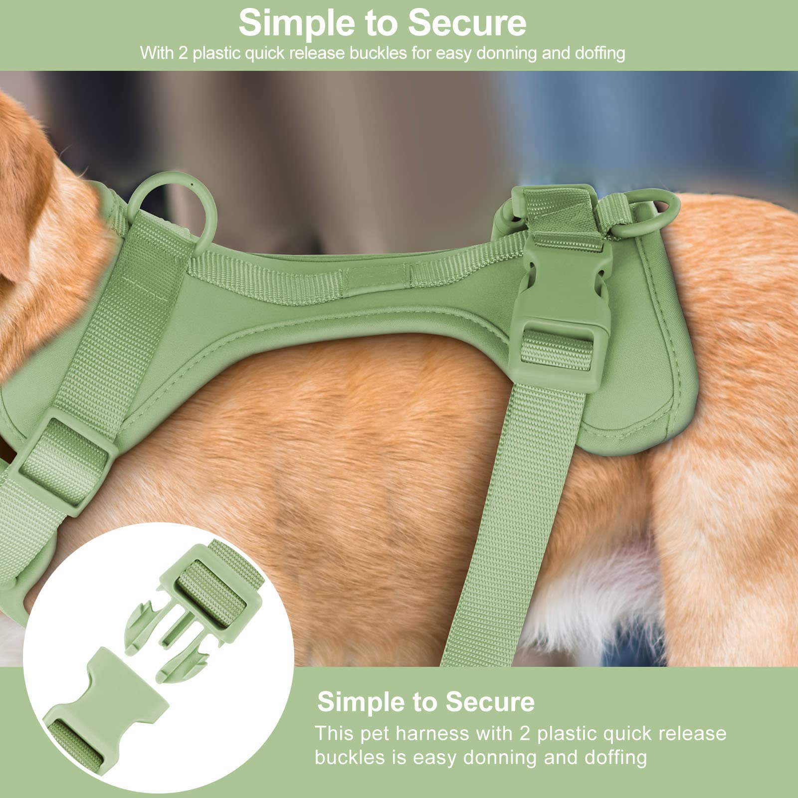 Wisedog no pull harness size chart to help pick the right fit