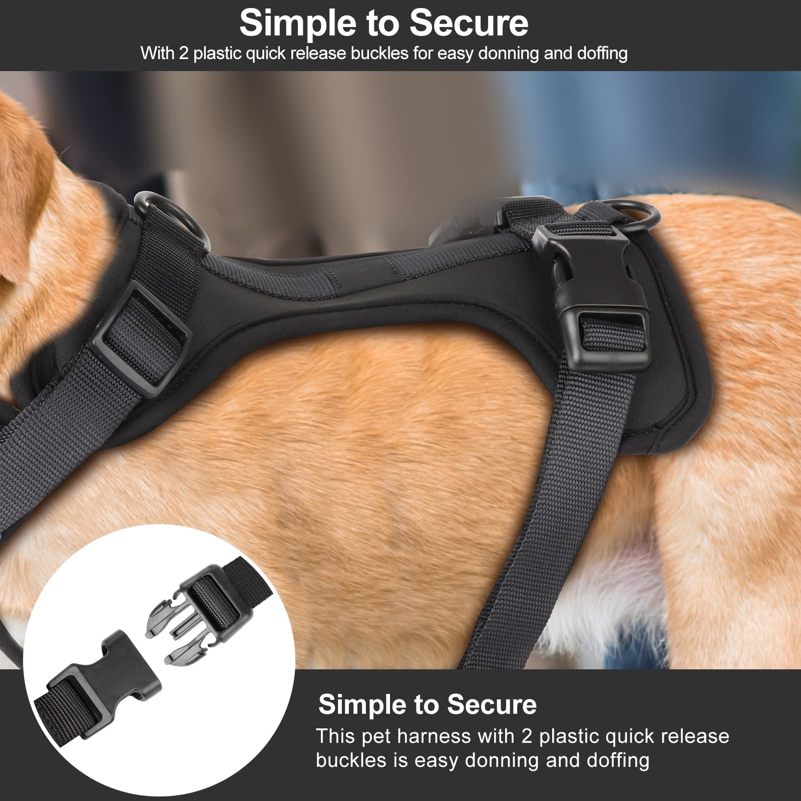 Wisedog No Pull Harness size guide and color options help you pick the right fit.