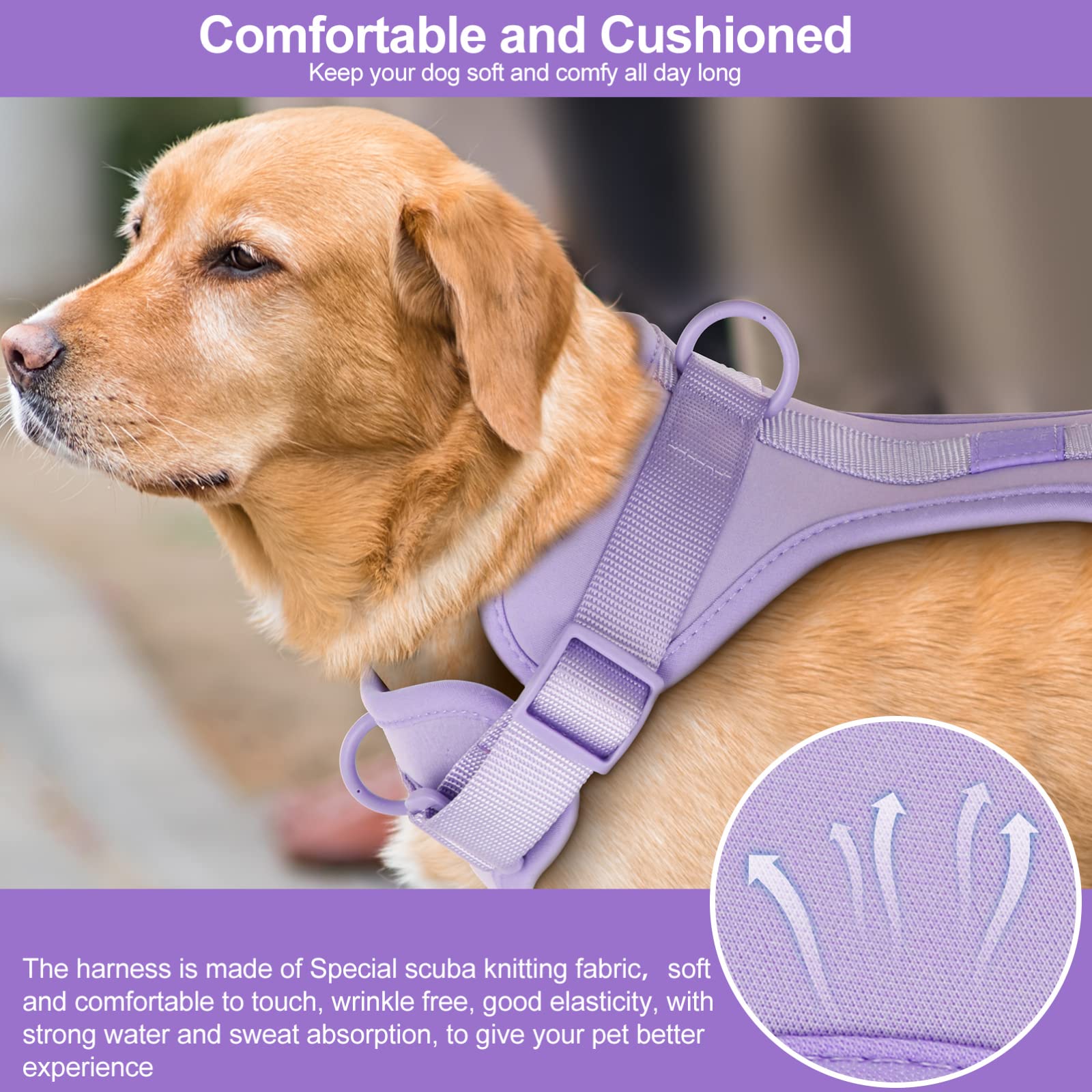 Wisedog No Pull Harness size guide helps find the right neck and chest fit.