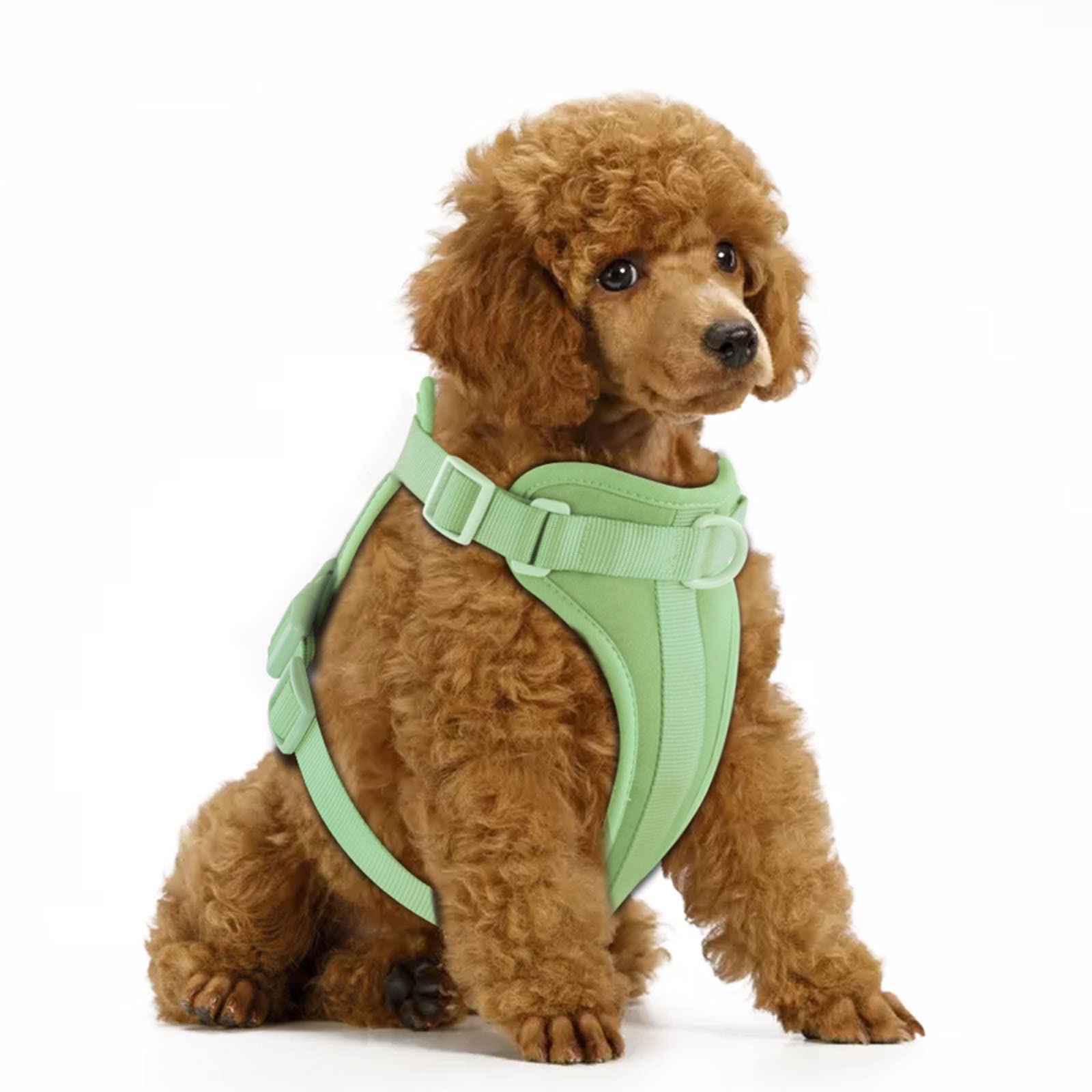 Wisedog no pull harness with soft cushion for comfortable daily wear