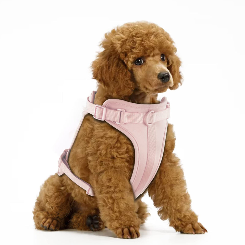 Wisedog No Pull Harness with soft cushion for all-day comfort during daily walks