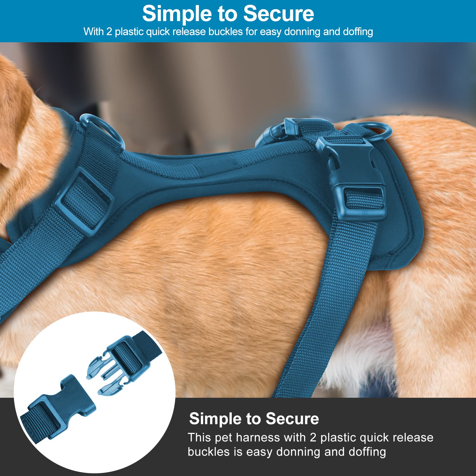 Wisedog No Pull Harness soft cushion enhances comfort on daily walks.