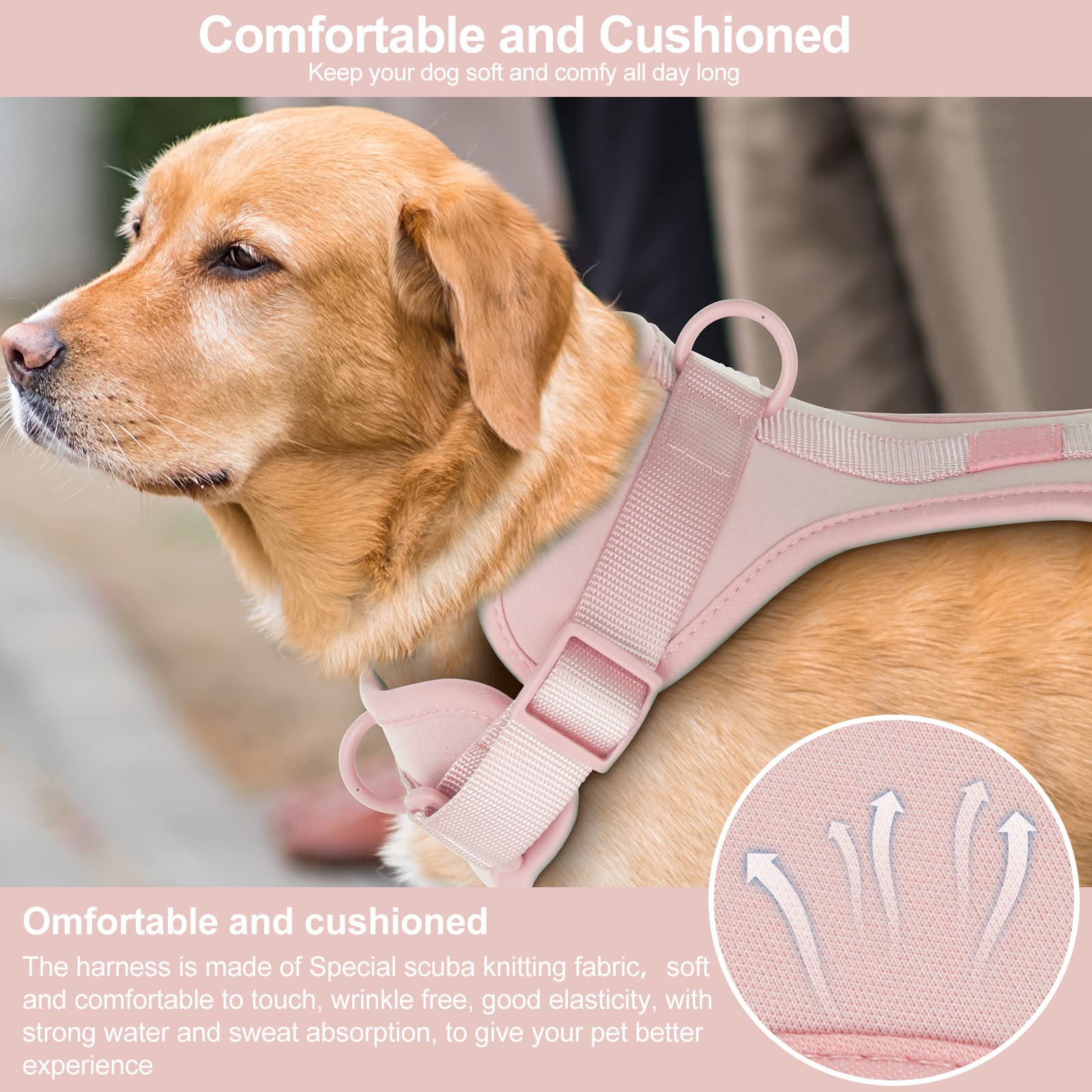 Wisedog quick-release buckles dog harness shown for easy on/off during quick outings.