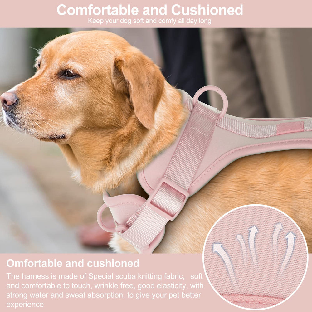Wisedog quick-release buckles dog harness shown for easy on/off during quick outings.
