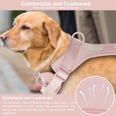 Wisedog quick-release buckles dog harness shown for easy on/off during quick outings.