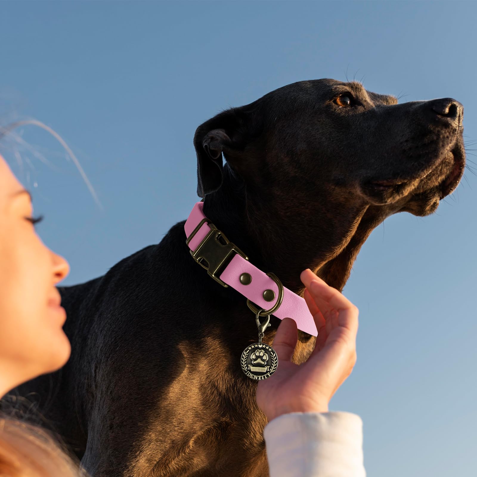 Wisedog rubber-collar-adjustable-neck-measure helps find a comfortable fit