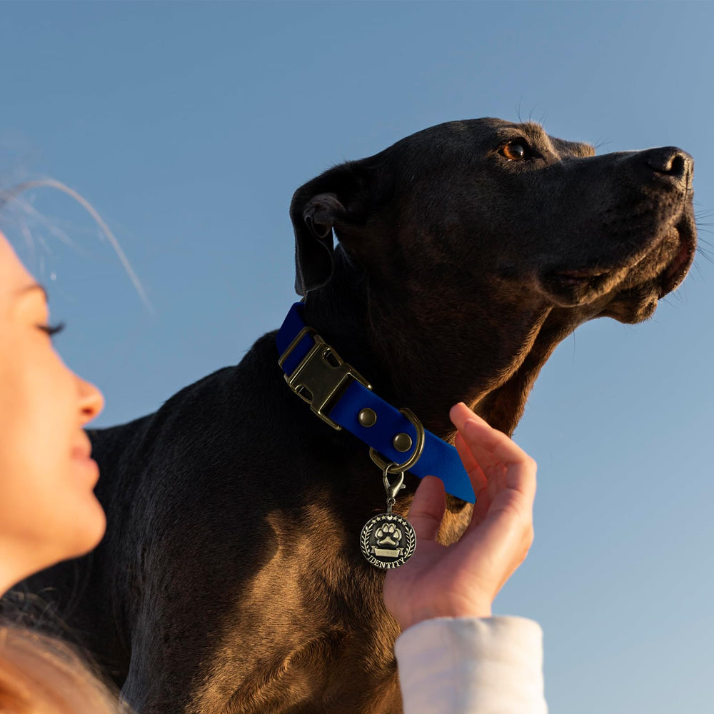 Wisedog rubber dog collar D-shaped ring provides quick leash connection