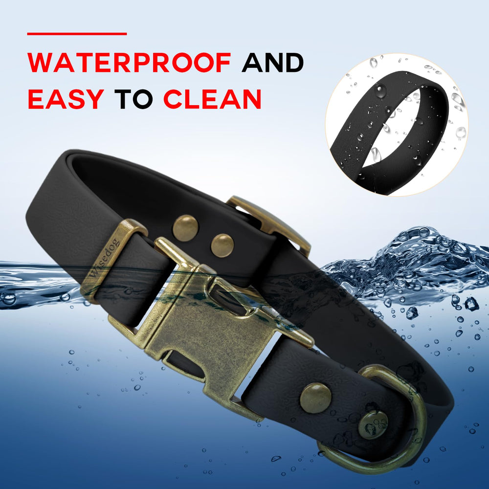 Wisedog collar front D-ring provides secure leash attachment.