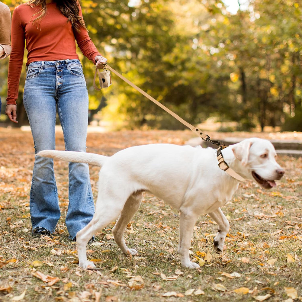 Wisedog collar color options including Sand for stylish everyday wear.
